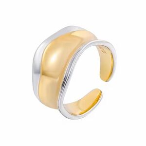 Gold and Silver Ring